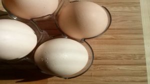 Меланж яичный