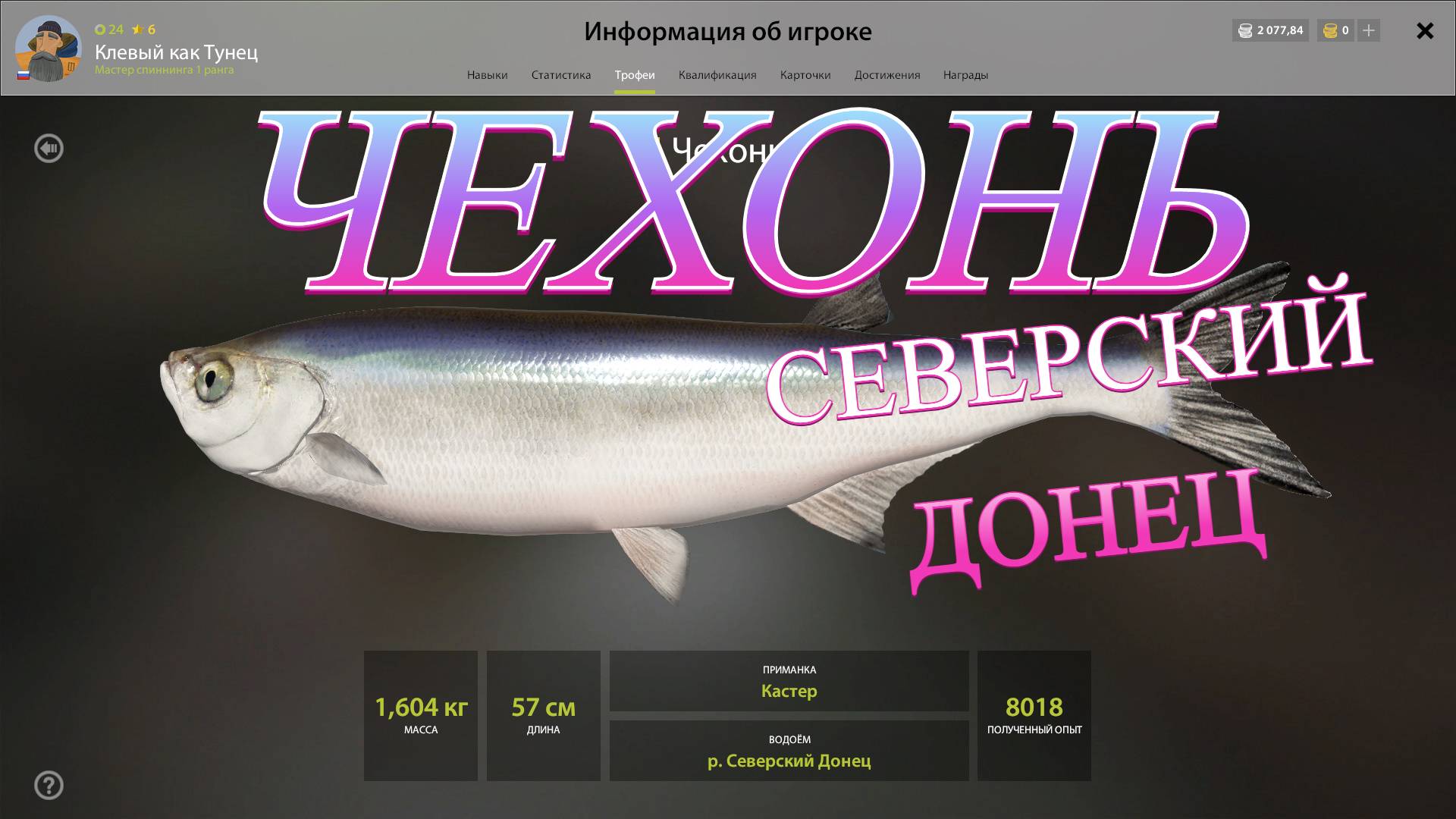 ТРОФЕЙ ЧЕХОНЬ!!!СЕВЕРСКИЙ ДОНЕЦ - РУССКАЯ РЫБАЛКА 4