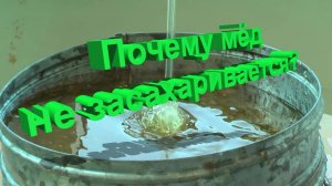 Ваш мёд не засахаривается? Вам пора это знать!