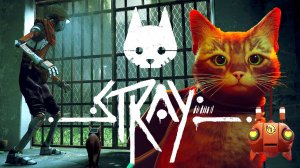 ПОБЕГ #5 Stray