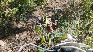 Прокатились по Тв. 3 октября 25г.