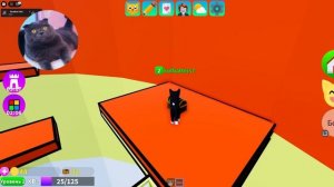 ИГРАЮ в КОТИКОВ в РОБЛОКС | ШКОЛА КОТЯТ в ROBLOX - ОБНОВЛЕНИЕ | Kitten Game
