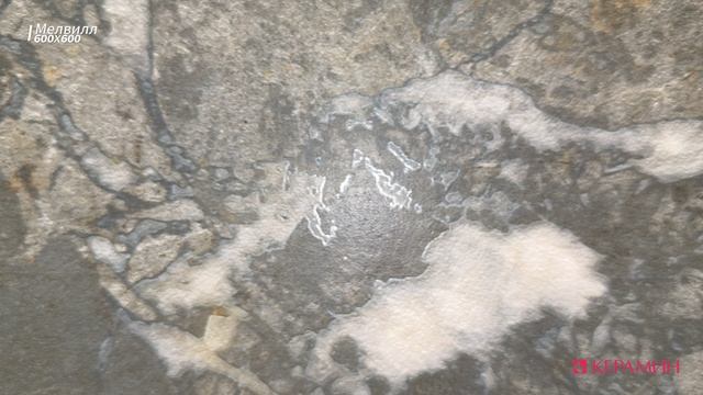 Керамогранит Мелвилл Керамин смотреть онлайн