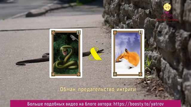 Карты со схожими значениями | Как различать похожие карты Ленорман смотреть онлайн