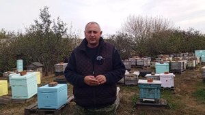 Искусственное осеменение маток
