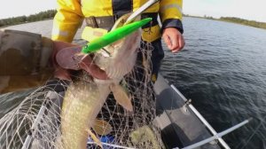 Осень 2025! (3)