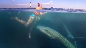 Морской змей. Настоящий плезиозавр в Черном море? Съемки аквалангистов