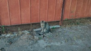 Съездили за здоровьем. Сажаю, поливаю, готовлю. Жизнь на пенсии