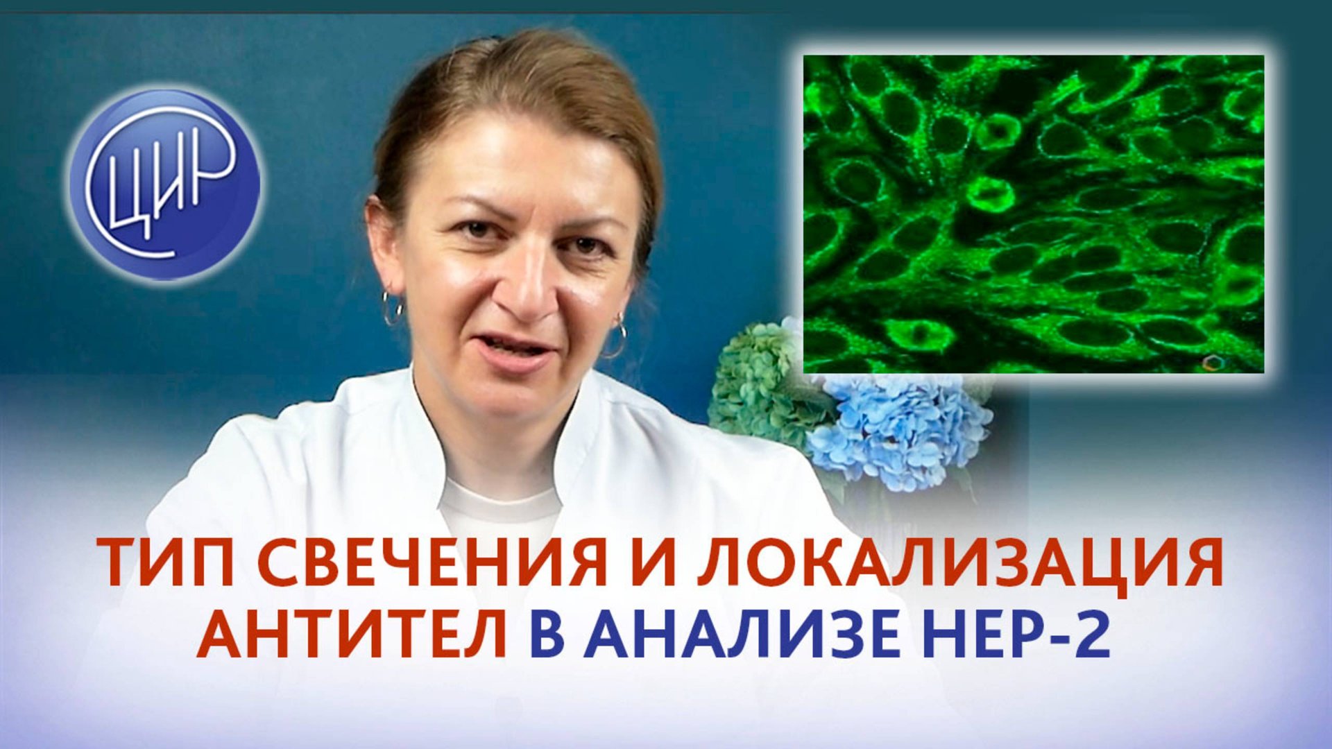 Тип свечения и локализация антител в клетке в анализе HEP-2. Дементьева С.Н.