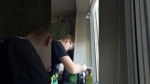 тост