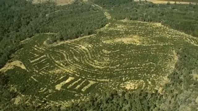 История уничтожения Мира