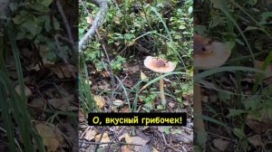 Билл Шифр вернулся. Часть 2