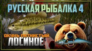 Лосиное. Русская Рыбалка 4. Спиннинг, мах, фидер.