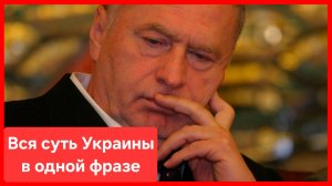 Золотые слова Жириновского: хохлы странные люди..