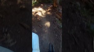 Прокатились | Архыз