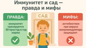 👶🏽 Иммунитет и детский сад: правда и мифы 🏫