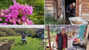 ПОГОДА ХОРОШАЯ, ЛЁШИК ВОЗИТ УДОБРЕНИЕ ИЗ КУРЯТНИКА НА ГРЯДКИ, А Я ГОТОВЛЮ НА ТЕРРАСЕ.