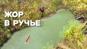 РУЧЕЙ НЕ ДЛЯ СЛАБОНЕРВНЫХ ВЫДАЁТ...КРУПНЯК в ДЕБРЯХ на ПОПЛАВОК!  Рыбалка на карася 2025