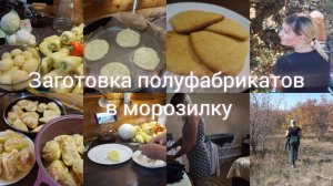 ЗАГОТОВКА ДОМАШНИХ ПОЛУФАБРИКАТОВ В МОРОЗИЛКУ