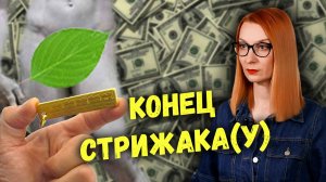 Органы демократичности беглых