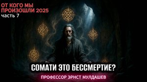 Сомати - путь к бессмертию. Эрнст Мулдашев.