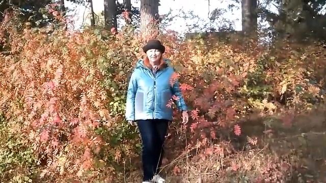 Может мне просто чудится - Автор Наталья Геут музыка Дмитрий Голд поёт Сергей Одинцов смотреть онлайн