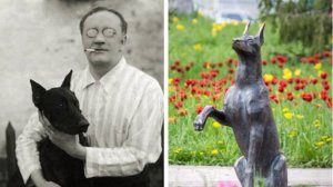 С.Есенин. Собаке Качалова #читаювамстихи