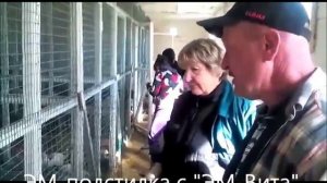 3 2016 ЭМ подстилка для птицы ПГСХА