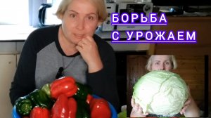 шашлык  к пенсии ,овощи перерабатываю , гигантская  капуста ,умею же!