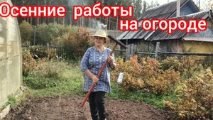 Осенние ягоды  на огороде 😃🤩😍🤩