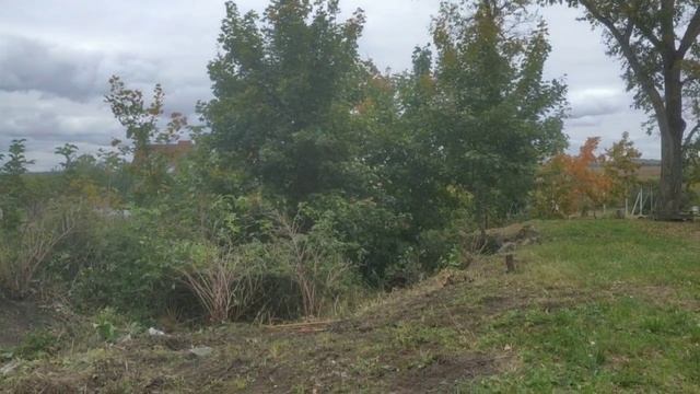 Осенние работы