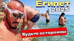 Египет 2025 🇪🇬 ПЛЯЖ Pickalbatros Aqua Vista Resort Hurghada 4* ВЫВОДЫ ОБ ОТЕЛЕ / МНЕНИЕ ТУРИСТОВ /