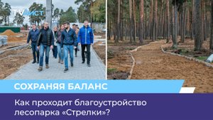 Как проходит благоустройство лесопарка «Стрелки»?