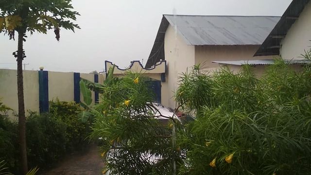 Пошёл дождь,Наше жильё ,Джамбиани