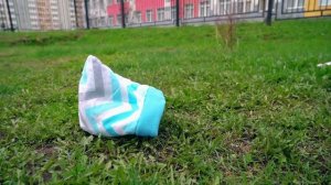 ДОМАШНИЙ ЕЖИК СБЕЖАЛ | ЕЖИК ВПЕРВЫЕ ГУЛЯЕТ на УЛИЦЕ