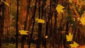 СП Добиваю недовязы 4/2025 Отчёт 35 с Мариной Стоговой