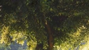 Истории из жизни. Начало одной истории.Рассказы онлайн