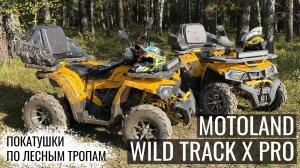 Motoland Wild Track X PRO - Тест драйв квадроциклов в лесу