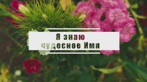 Я знаю чудесное Имя | Гимны надежды №64 - КАРАОКЕ