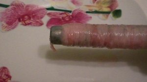 Колбаса из индейки