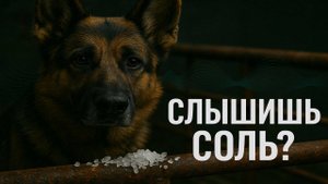Слышишь соль? Радиошёпот: дело, которое никто не должен был слышать. Мистический Детектив. Мистика