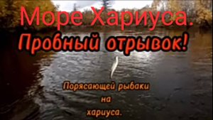 Рыбалка на хариуса. Сентябрь 2025.