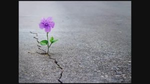 Velvet - Прости..автор ролика Светлый..