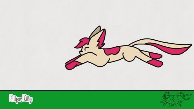 Анимация: бег котика