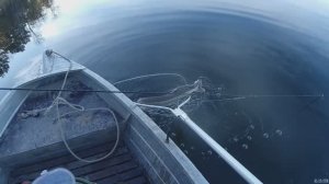 Перемёт на клипсах, поперечная установка