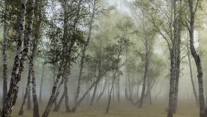 Чайковский - Времена года - Август