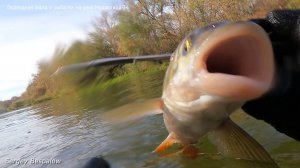 3 октября 2025  г.Подводная охота