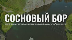 Сосновый бор