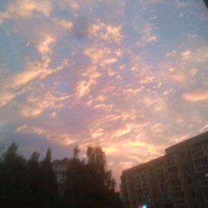 всем хай