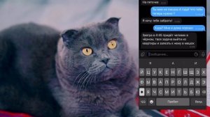 ПЕРЕПИСКА С ФЕЙКОМ МАМЫ БАТТЕРС | МАМА ХОЧЕТ ЗАБРАТЬ КОТИКА ! ПИТОМЦЫ ПРОТИВ!